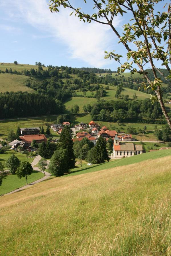 Gaestehaus Sonnhalde Віден Екстер'єр фото